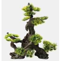  Deco Bonsai XX Large